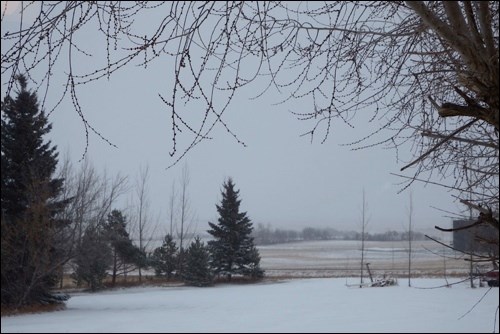 winter rural scene pic