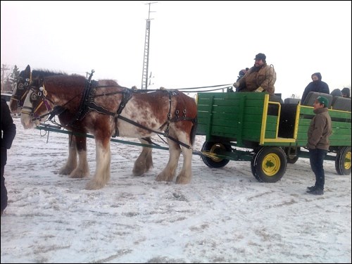 The Duhaime team pulling a wagon was a popular attraction in Meota Dec. 12.