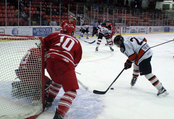 Yorkton Terriers