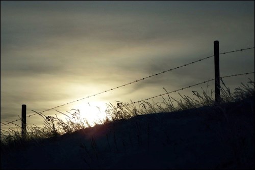 winter rural scene pic