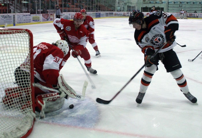 Yorkton Terriers