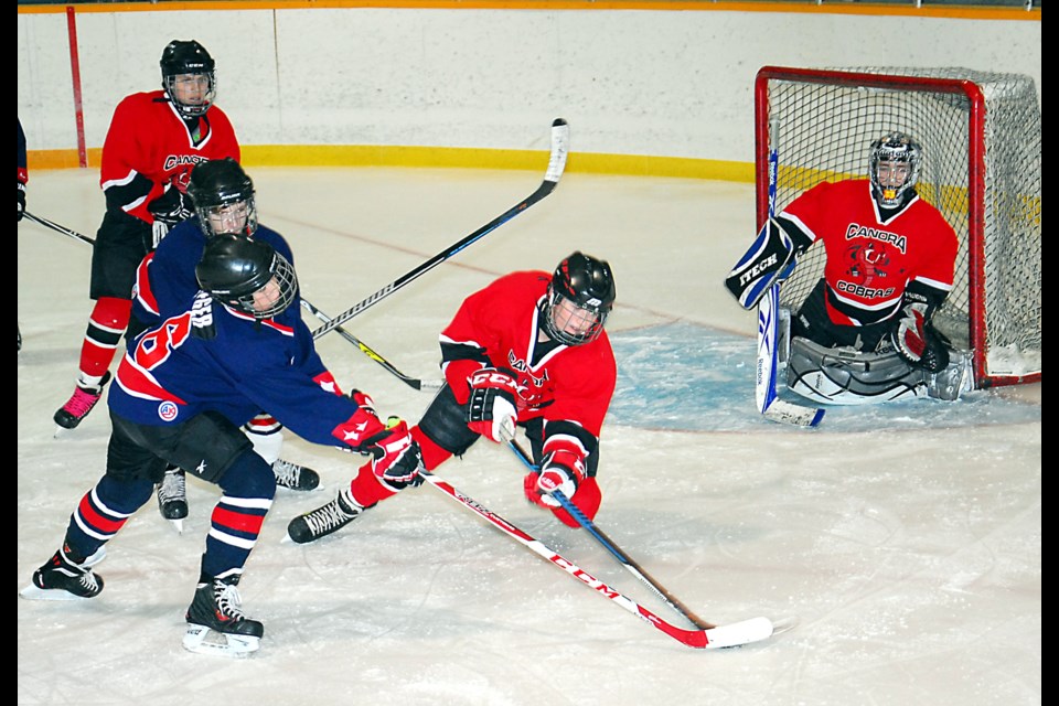 Grady Wolkowski dived down to knock the puck away from the Esterhazy player when the Canora Cobras played host on Sunday. Tyler Palchewich played in goal while Jacob Danyluk covered the front of the net. Both teams seemed evenly matched and the final score was a 5-5 tie.