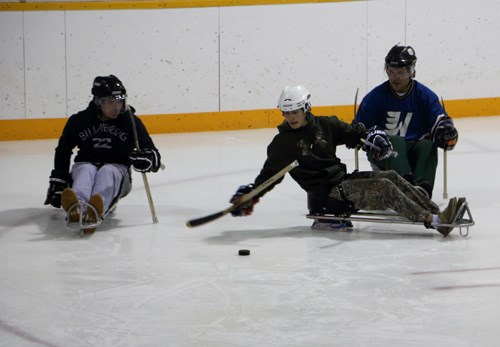 Sledge Hockey Lead