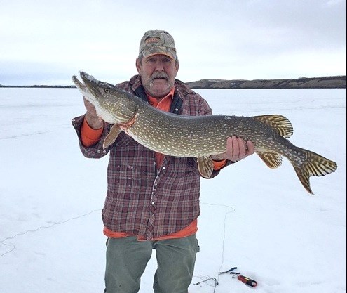 Unity's Omar Desmarais caught this 17 lb. 8 oz. jackfish at Murray Lake March 12 in one of his ice fishing excursions. He released the catch back to the water. Photo submitted by Sherri Solomko