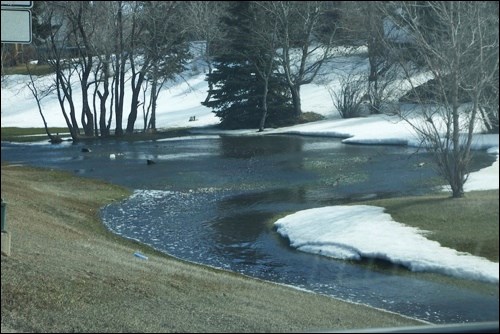 spring rural scene pic