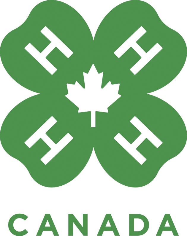 4-H logo