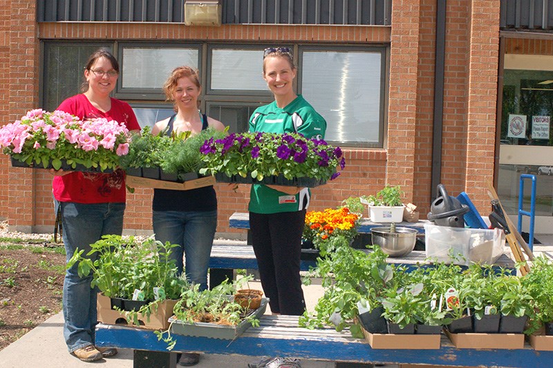 The Preeceville Community Garden project at the Preeceville School is a School Community Council initiative spearheaded by Vereen Primeau, Janeen Covlin and Megan Maier. Kim Sandager was unavailable for the photograph.