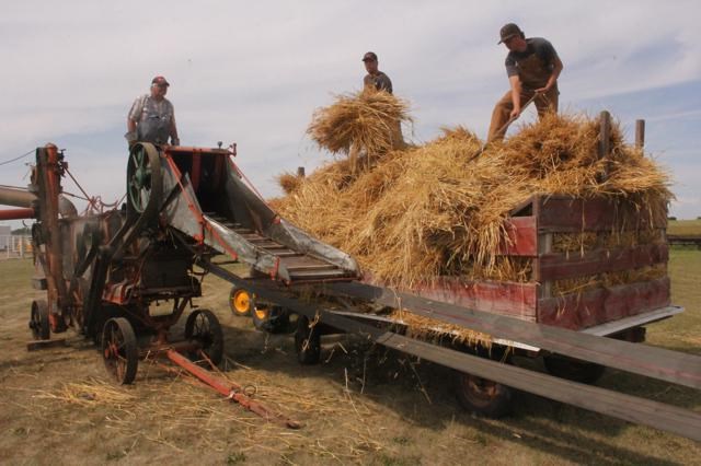 Threshing