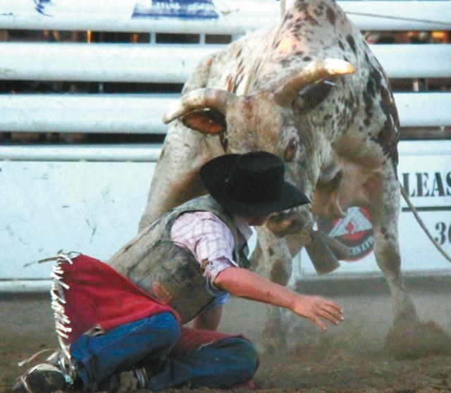 bull riding