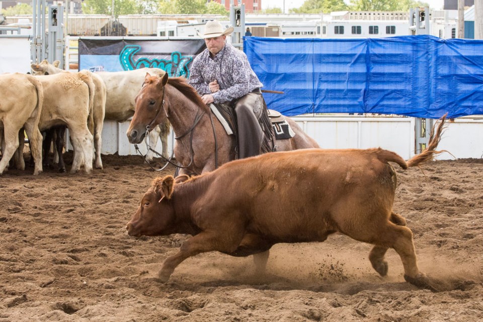 Chad Eaton cutting show