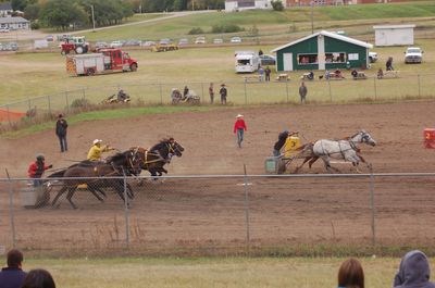 Twyla Salmond and Bert Buhler chased after Dakoto Longman for final stretch of the chariot race in Sturgis.