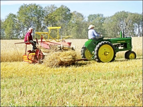 Cyril Saunders on the binder and Dave How on his John Deere B, bindering the sheaves for threshing day. Photos by Lorraine Olinyk