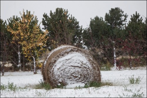 snow bale