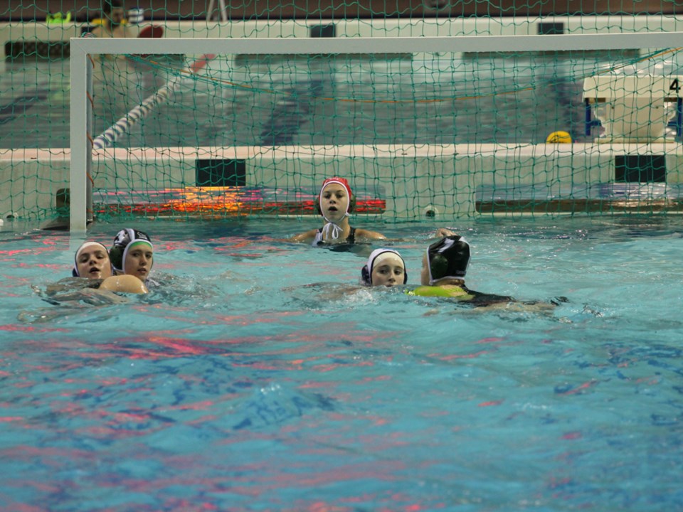 marshall water polo nov 2016