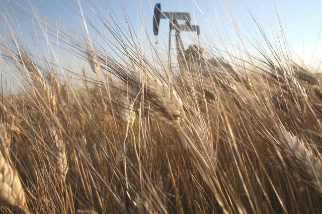 wheat-pumpjack