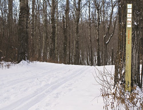 Moose Mountain Trails