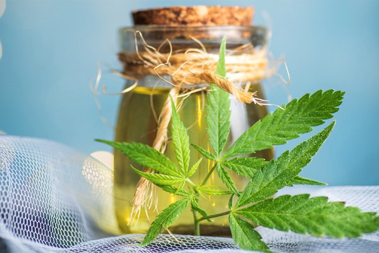 Article-12B_cannabis-skincare-products-to-add-to-your-routine