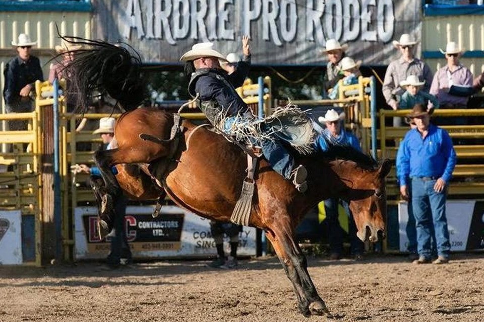 A cowboy riding a bucking bronco at Airdrie Pro Rodeo in Alberta /Airdrie Pro Rodeo