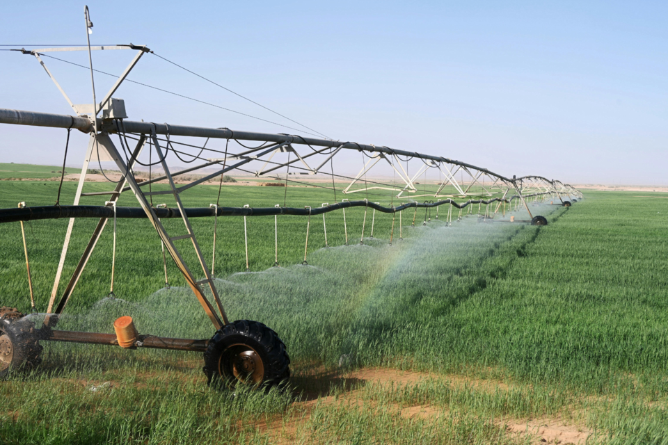 112324-canva-stock-irrigation