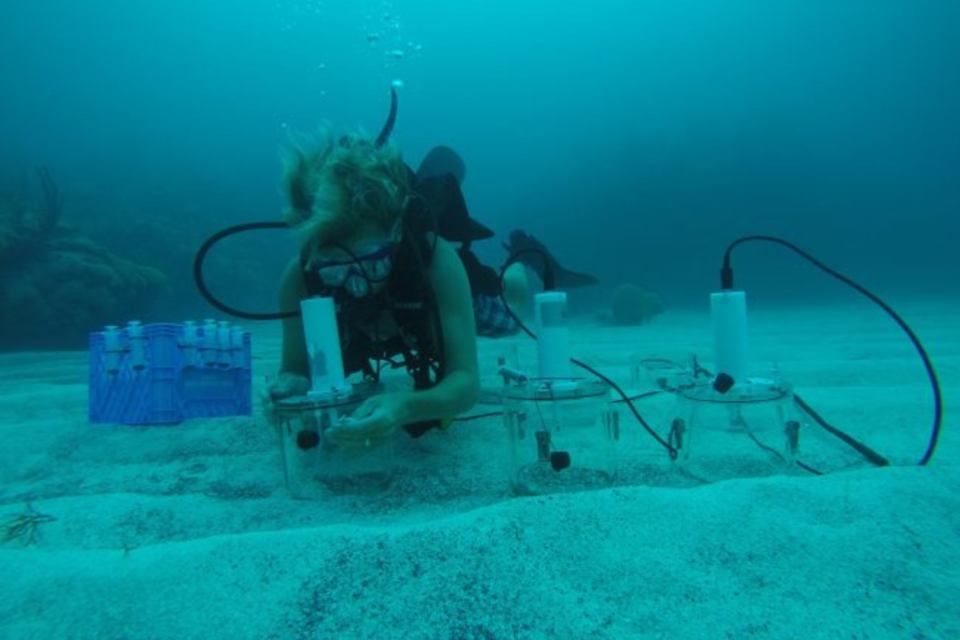 a-student-tests-the-contents-of-the-ocean-floor