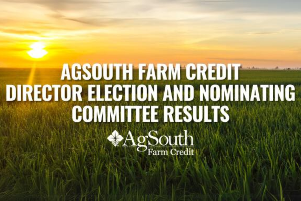 agsouth-director-election-and-nomination