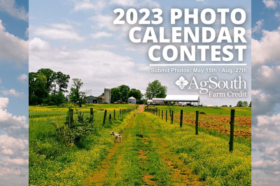 agsouthphotocontest23