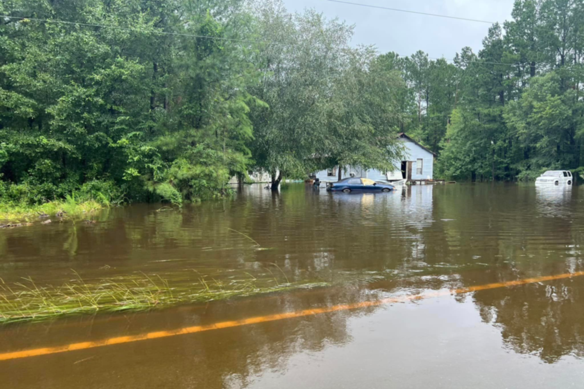 Georgia Attorney General warns of price gouging and fraud in home repairs after Tropical Storm Debby