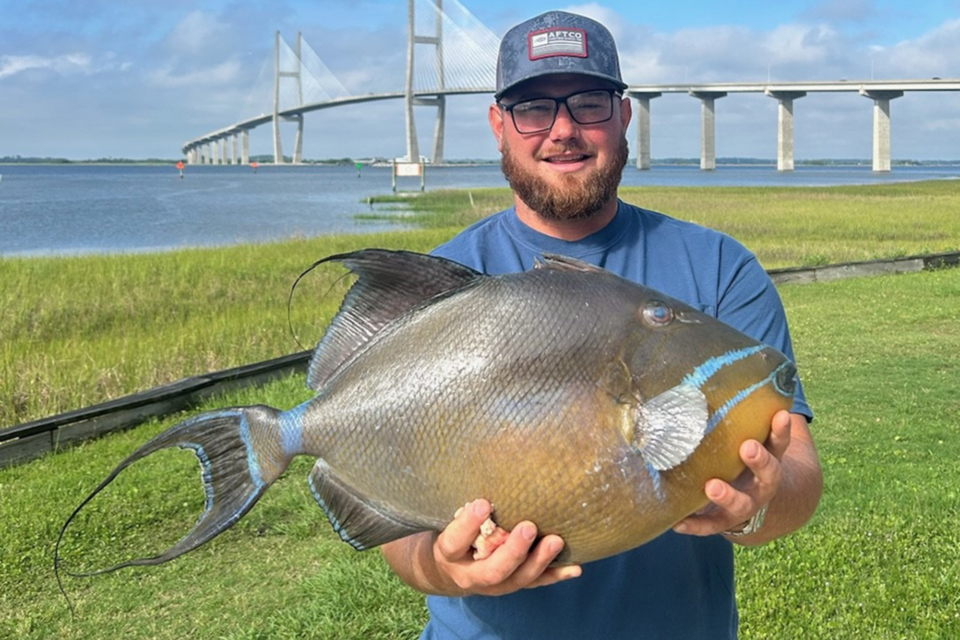 dnr-angler-brian-c-richburg-of-brunswick-holds-his-record-setting-queen-triggerfis