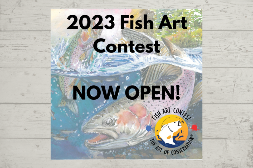 fishartcontest