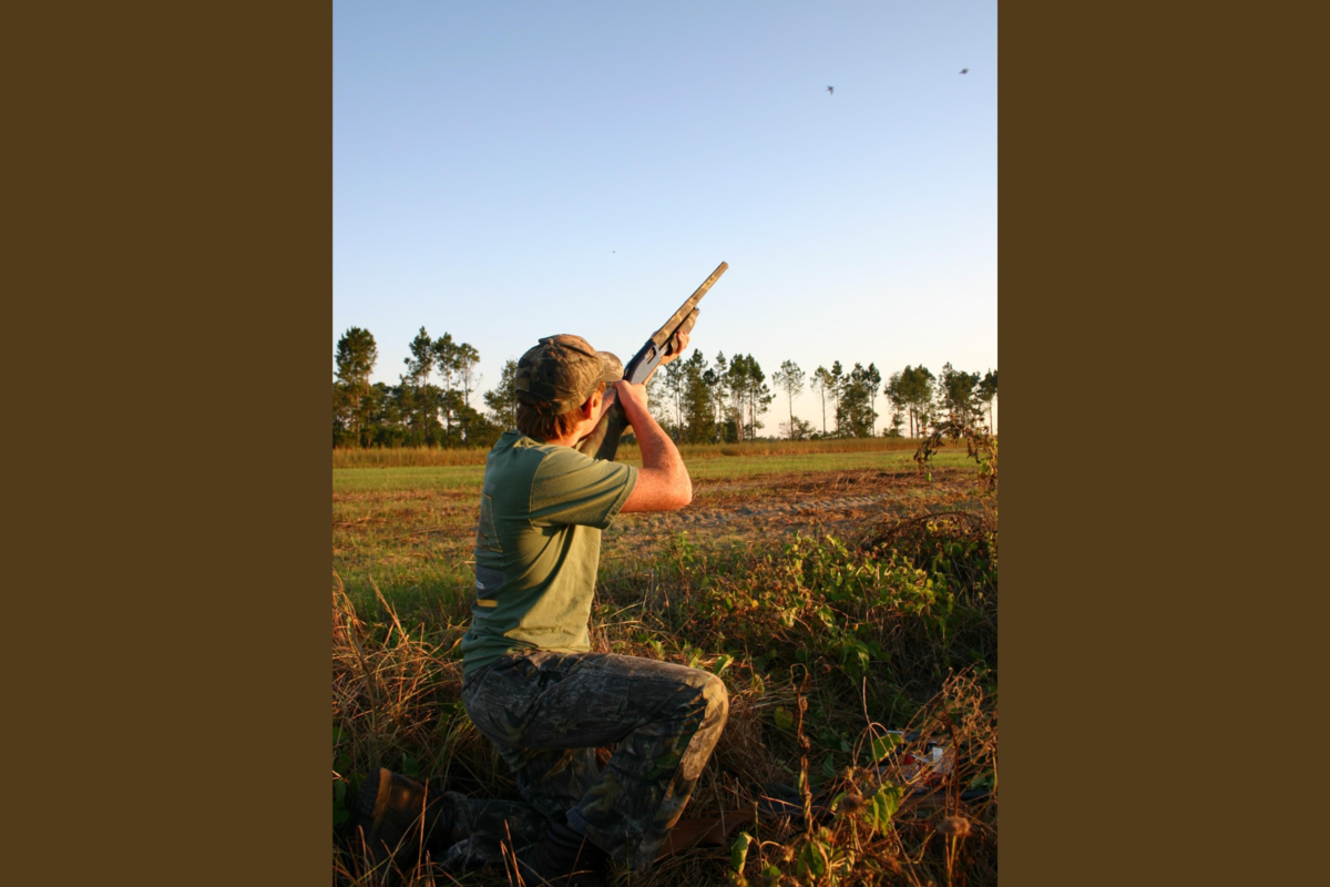 The dove hunting season in Georgia begins on Saturday, September 7