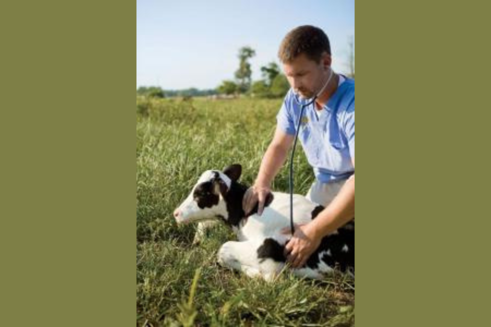 georgia-department-of-agriculture-application-open-for-georgias-veterinary-education-loan-repayment-program