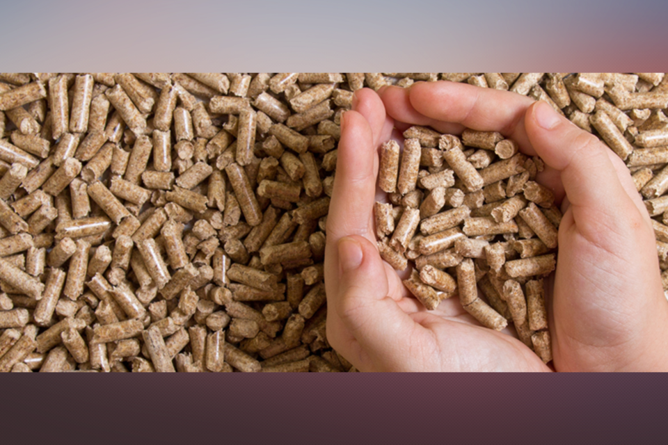 gp-biomass-woodpellets