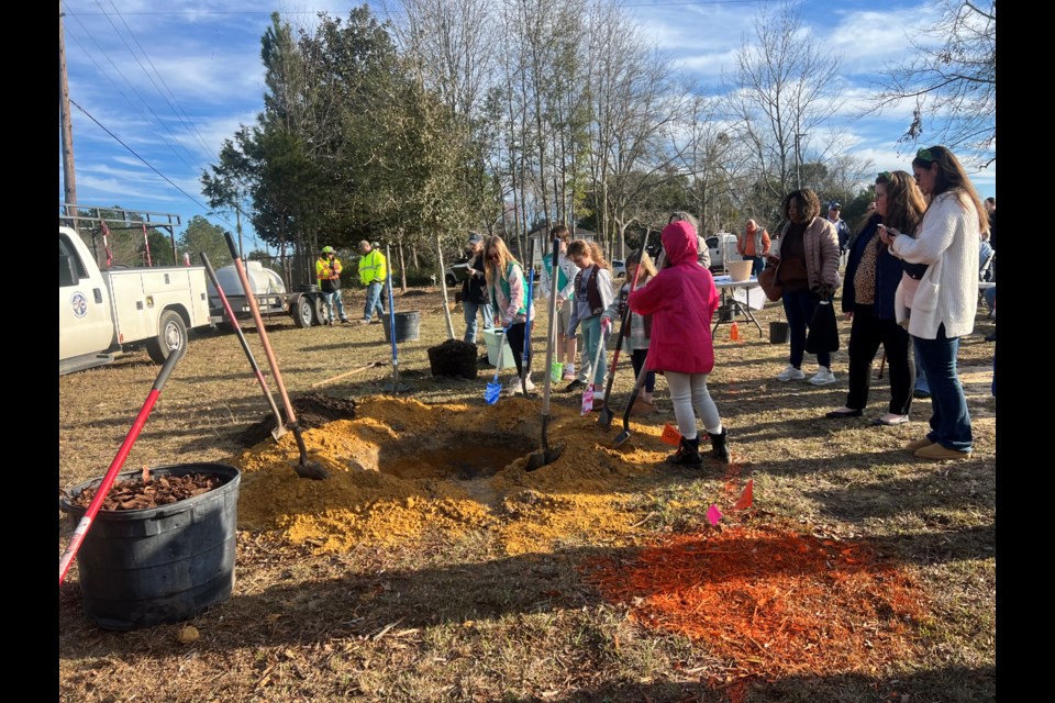 Arbor Day tree planting.