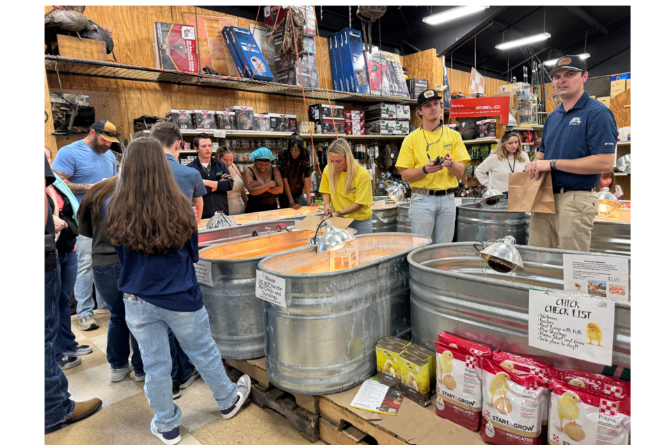 Chick Day 2025 at Anderson's General Store took place on Saturday, March 8, from 10:00am to 2:00pm.