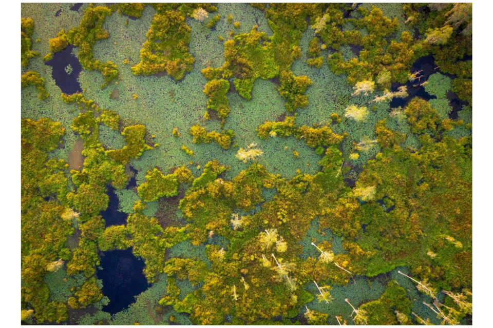Breathtaking aerial view of the Kennedy Pond Conservancy