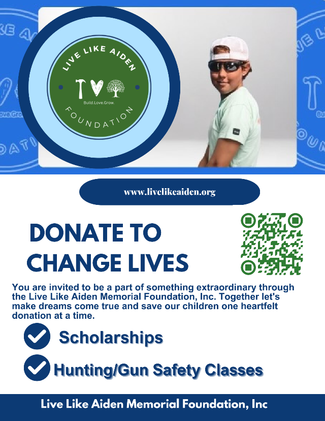 livelikeaidenfoundation-donate