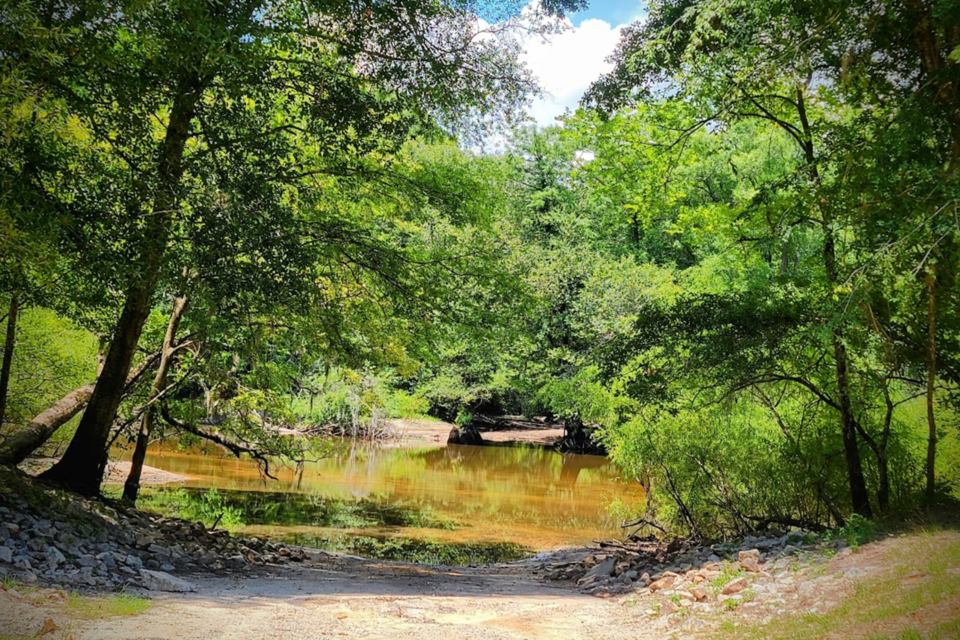 low-water-level-at-the-ogeechee-public-landing