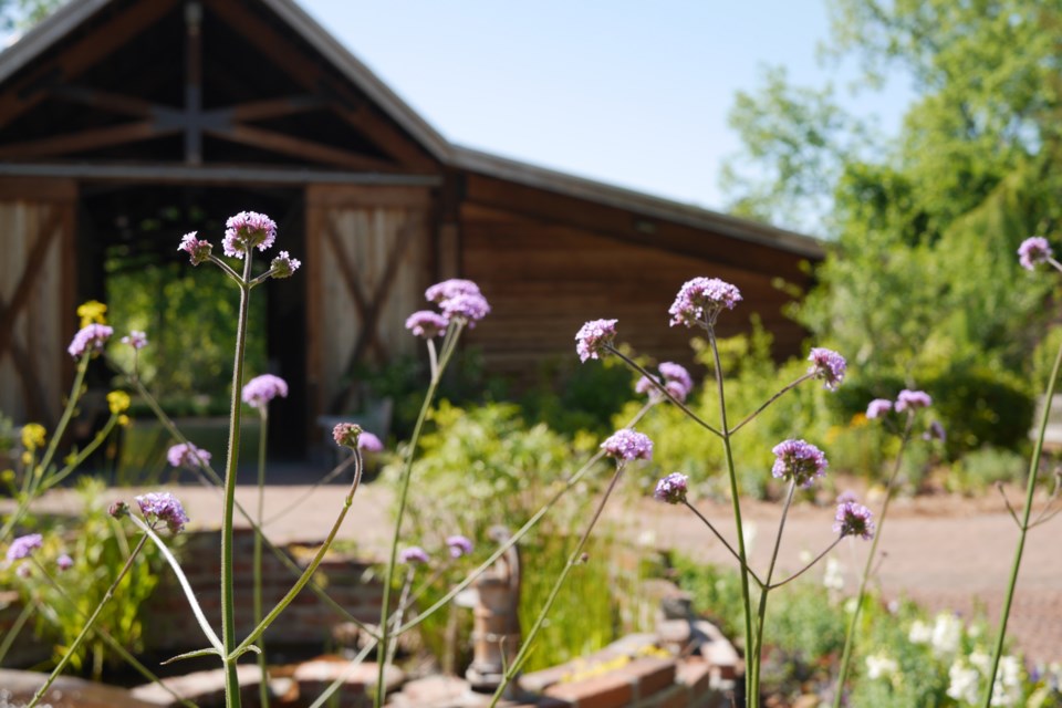 mark-williams-photography_farmyard-1