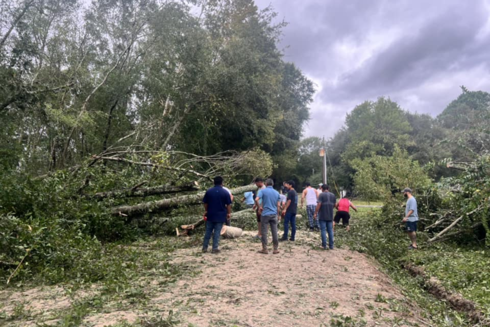 neighbors-helping-falling-tree