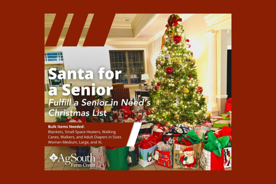 santaforsenior-2024