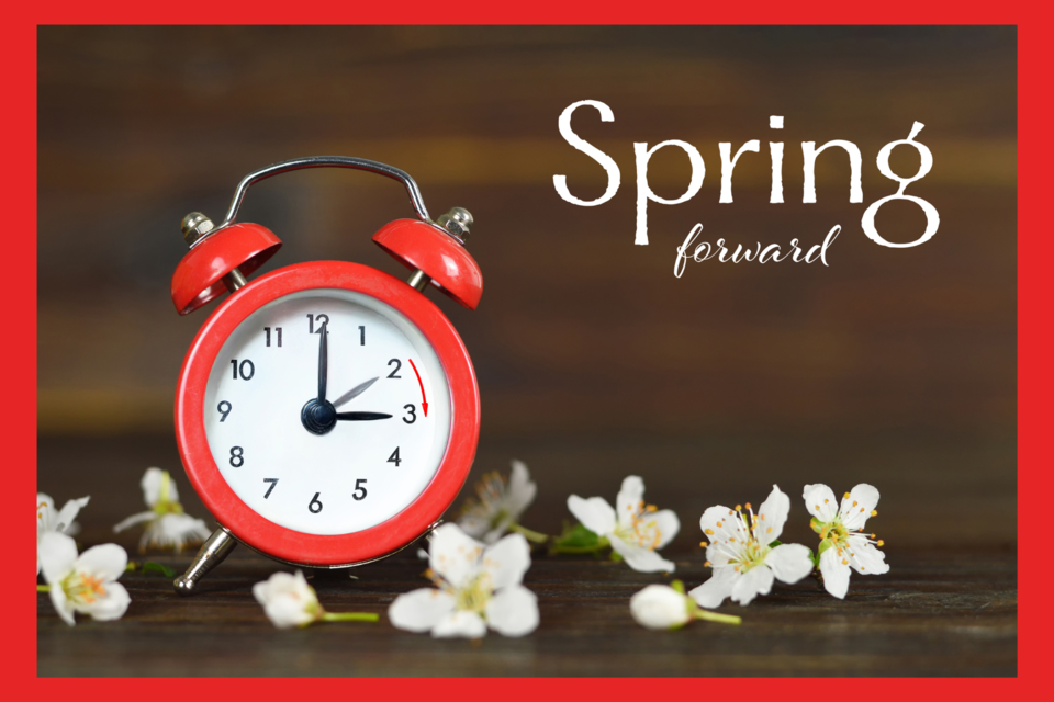 springforward-feature