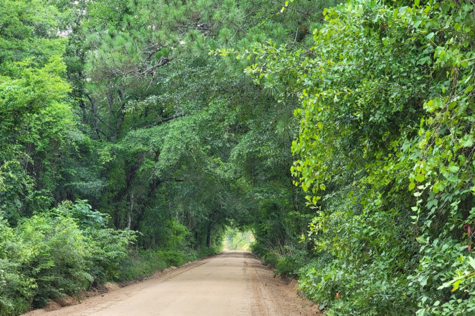 toward-the-river