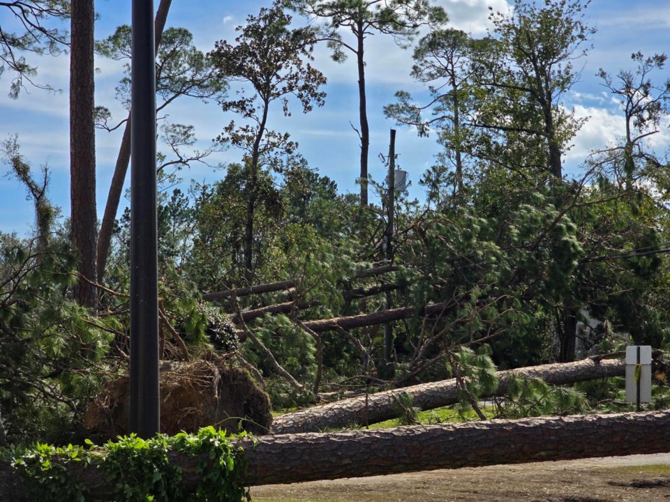 valdosta-georgia