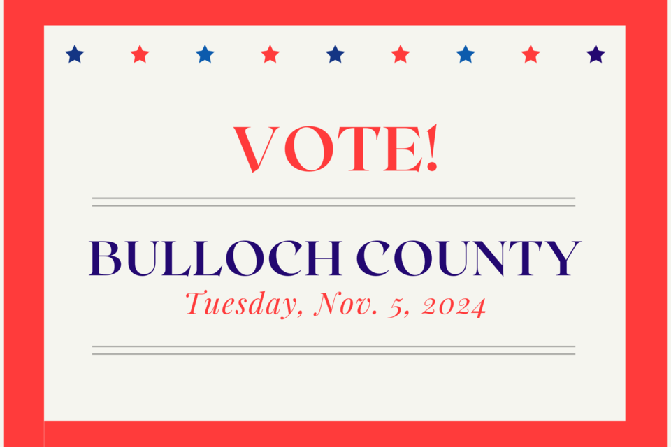 bulloch-county-vote-110225