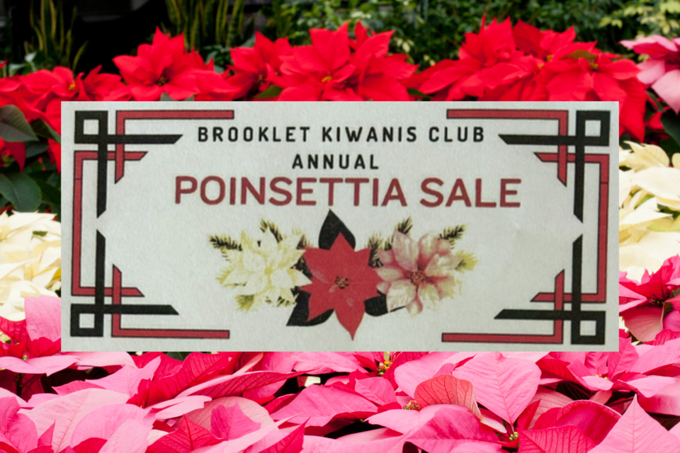 102624-brooklet-kiwanis-poinsettia-sale