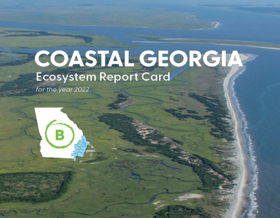 coastal-georgia-ecosystem-report-card