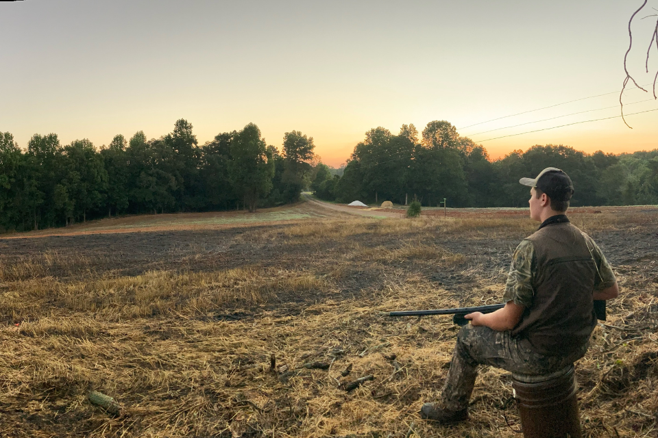 dove hunting season opens Saturday, Sept. 2 Grice Connect