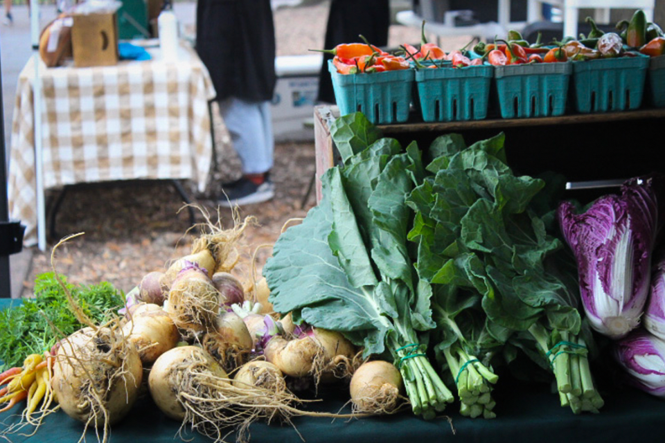 farmers market today open now        <h3 class=