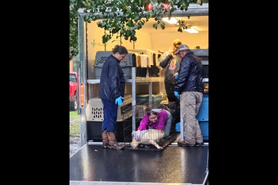 GALLERY  Bulloch County Animals Services Lead the Rescue of 193