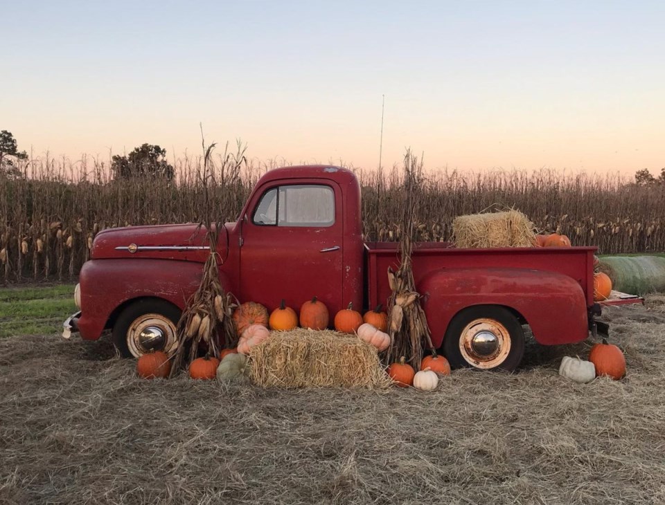 PerkinsPumpkinTruck